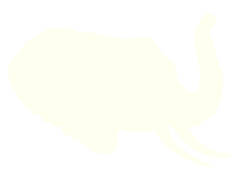 Article icon