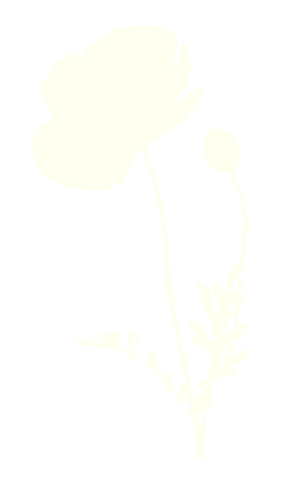 Article icon